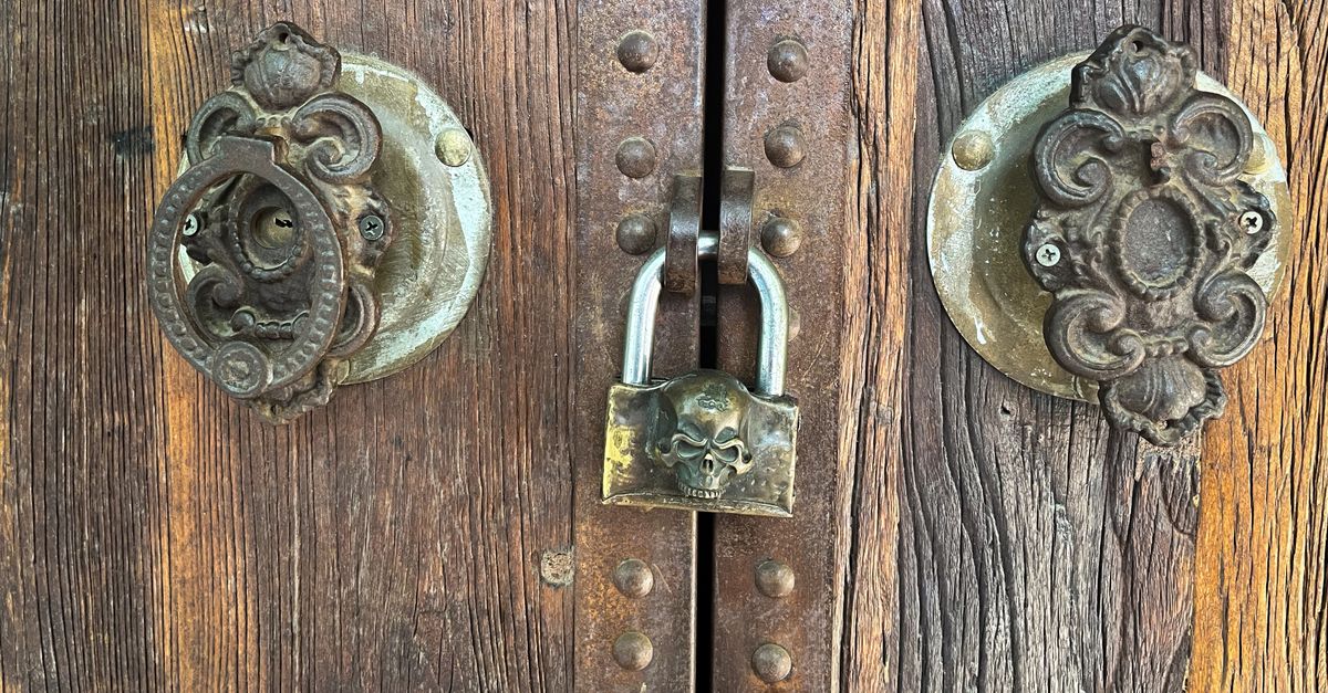 Mortise Lock vs. Door Knob Lock: Which Is Right for Your Door? — High Line Access Control Locksmith